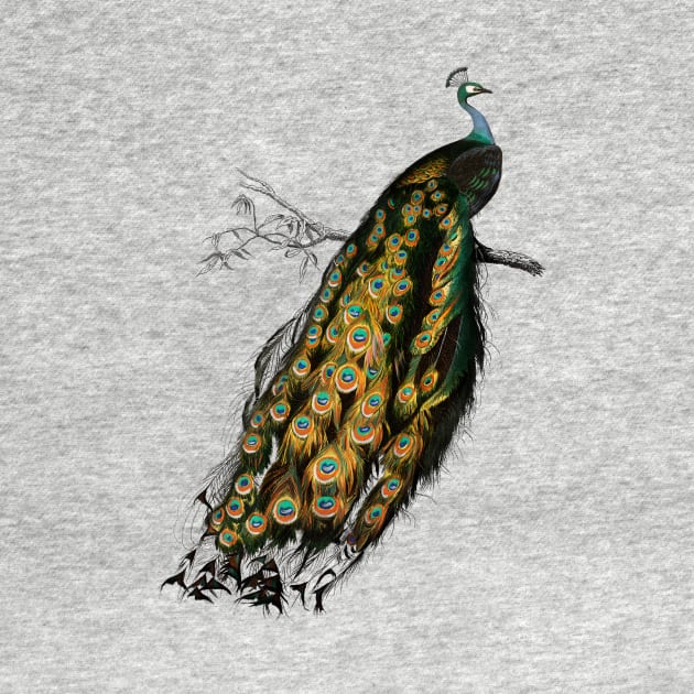 Vintage indian peafowl bird-animalia clothing by Phantom Troupe